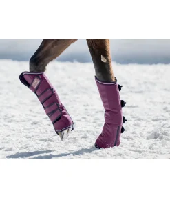 Guêtres de transport Kilian Accessoires Pour Vans|Guêtres De Transport & D'Écurie