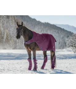 Guêtres de transport Kilian Accessoires Pour Vans|Guêtres De Transport & D'Écurie