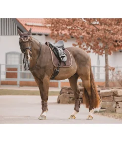 Outlet Guêtres en mesh Glitter, antérieurs Guêtres