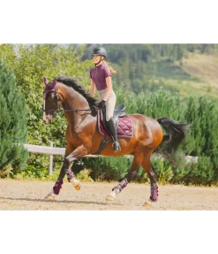 Sale Guêtres fonctionnelles Swiss Design (Postérieurs) Guêtres