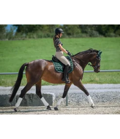 Guêtres pour antérieurs Perfect Protection Air mesh Guêtres