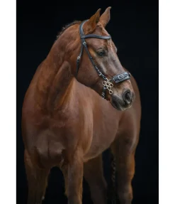 Outlet Hackamore flower Bridons Sans Embouchures