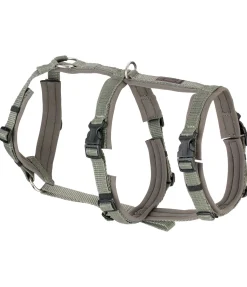 Outlet Harnais de sécurité pour chien Irmi Harnais & Colliers Pour Chien