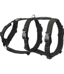 Online Harnais de sécurité pour chien Irmi Harnais & Colliers Pour Chien