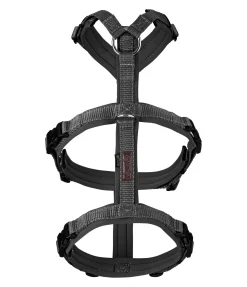 Online Harnais de sécurité pour chien Irmi Harnais & Colliers Pour Chien