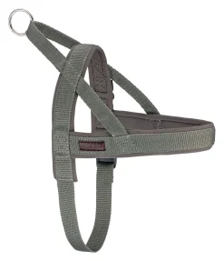 Harnais norvégien Miley Harnais & Colliers Pour Chien