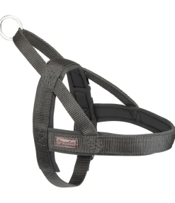 Online Harnais norvégien Miley Harnais & Colliers Pour Chien