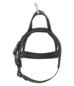 Online Harnais norvégien Miley Harnais & Colliers Pour Chien