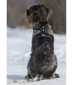 Best Harnais pour chien Expedition Harnais & Colliers Pour Chien