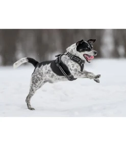 Best Harnais pour chien Expedition Harnais & Colliers Pour Chien