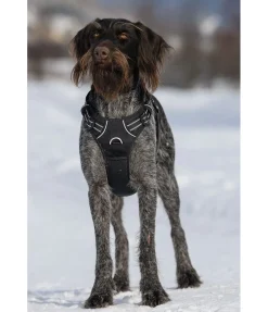 Best Harnais pour chien Expedition Harnais & Colliers Pour Chien