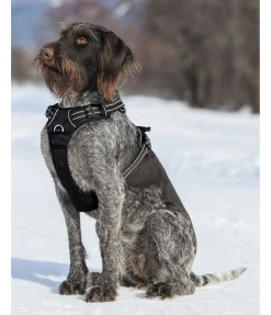 Best Harnais pour chien Expedition Harnais & Colliers Pour Chien