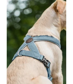 Hot Harnais pour chien Piper Harnais & Colliers Pour Chien