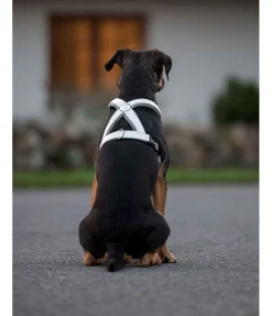 Hot Harnais réfléchissant pour chien Harnais & Colliers Pour Chien|Matériel Réflechissant Pour Chiens