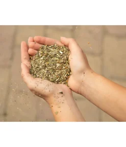 Herbes détox Aliments Complémentaires