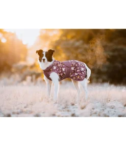 Hot Imperméable pour chien Pumpkin Spice, 0 g Manteaux De Pluie Sans Garnissage, 0G