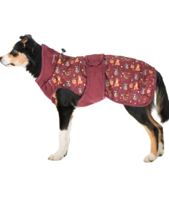 Online Imperméable pour chien Pumpkin Spice, 0 g Manteaux De Pluie Sans Garnissage, 0G