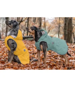 Discount Imperméable pour chien Waterton Lakes, 0 g Manteaux De Pluie Sans Garnissage, 0G