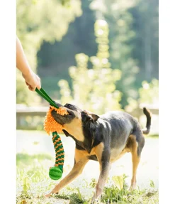 Jouet à tirer pour chien Agi Agility|Jouets Pour Chien