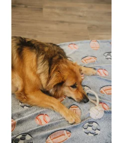 Online Jouet corde pour chien Jack Jouets Pour Chien