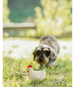 New Jouet couineur pour chien Chicken Jouets Pour Chien