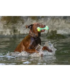 Online Jouet d'eau pour chien Marble Bone Jouets Pour Chien