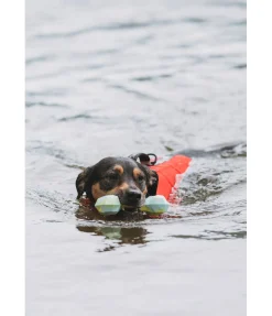 Online Jouet d'eau pour chien Marble Bone Jouets Pour Chien