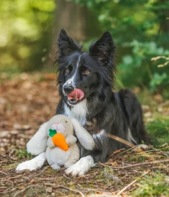 Outlet Jouet en peluche pour chien Bunny Jouets Pour Chien