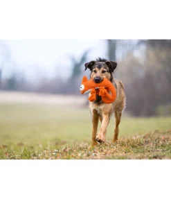 Clearance Jouet pour chien Chameleon Jouets Pour Chien