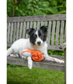 Clearance Jouet pour chien Chameleon Jouets Pour Chien