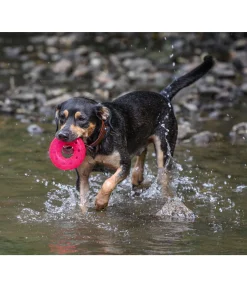 Online Jouet pour chien Mia Jouets Pour Chien