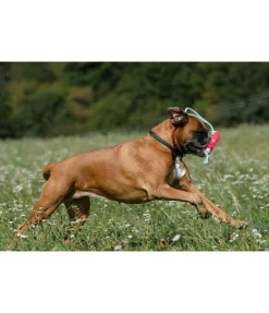 Online Jouet pour chien Mia Jouets Pour Chien