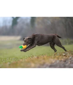 Outlet Jouet pour chien Pineapple Jouets Pour Chien