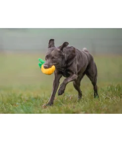 Outlet Jouet pour chien Pineapple Jouets Pour Chien