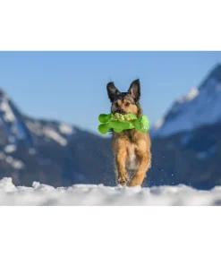 Outlet Jouet pour chien Strong Dino Jouets Pour Chien