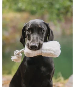 Discount Jouet pour chiot Edda Jouets Pour Chien