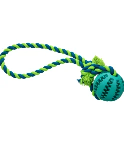 Hot Jouet soins dentaires pour chien Cleo Jouets Pour Chien