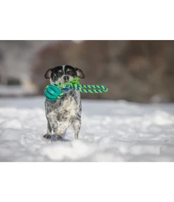 Hot Jouet soins dentaires pour chien Cleo Jouets Pour Chien