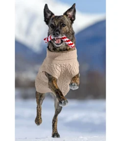 New Jouet sucre d'orge en corde pour chien Jouets Pour Chien