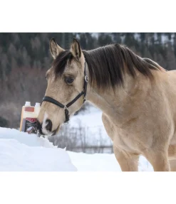 Clearance Jus d´herbes Immune Boost Aliments Complémentaires