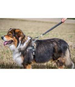 Discount Laisse courte pour chien Waterpoof Laisses Pour Chien