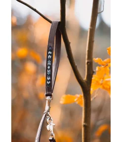 New Laisse en cuir avec perles Austin Laisses Pour Chien