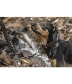 New Laisse en cuir avec perles Austin Laisses Pour Chien