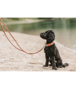Discount Laisse en cuir cousu rond pour chien Certaldo Laisses Pour Chien