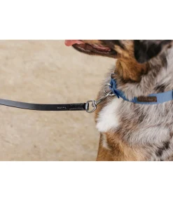 Online Laisse en cuir pour chien San Gimignano Laisses Pour Chien