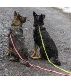 Clearance Laisse longue réfléchissante Laisses Pour Chien|Matériel Réflechissant Pour Chiens