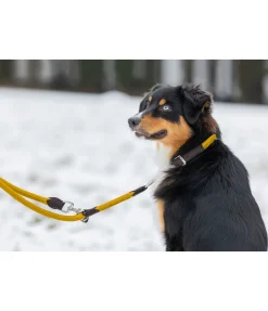 Clearance Laisse pour chien Rope Laisses Pour Chien