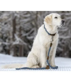 Clearance Laisse pour chien Rope Laisses Pour Chien