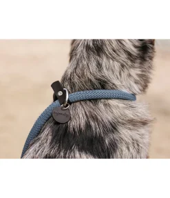 Outlet Laisse retriever Nature Rope Laisses Pour Chien
