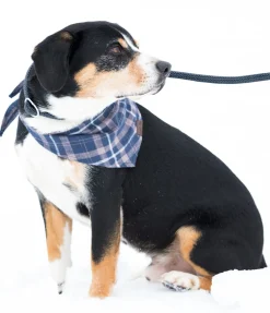 Outlet Laisse retriever Nature Rope Laisses Pour Chien